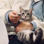 Melhor Plano de Saúde para Pets em 2026 — Comparativo Completo