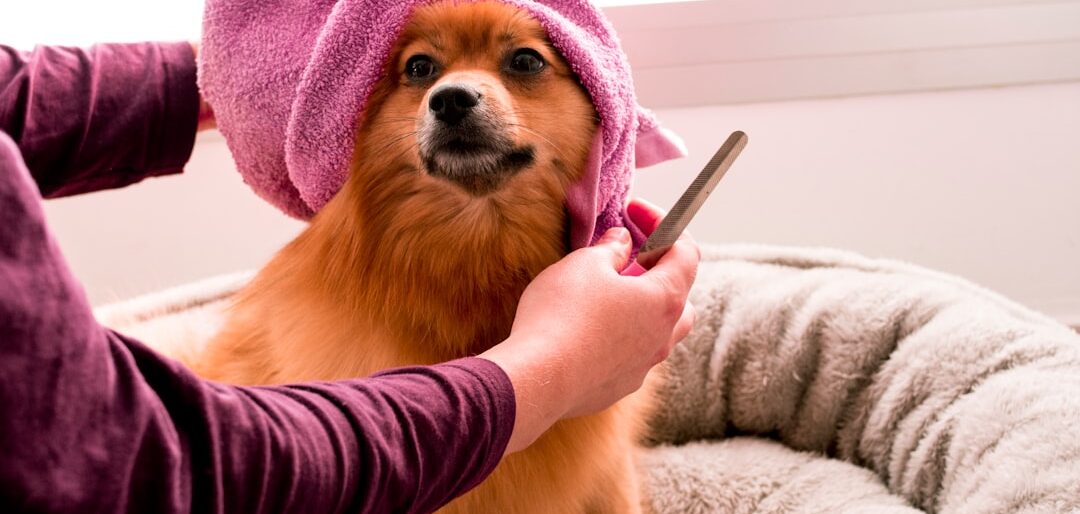 Melhores Acessórios de Higiene para Cães